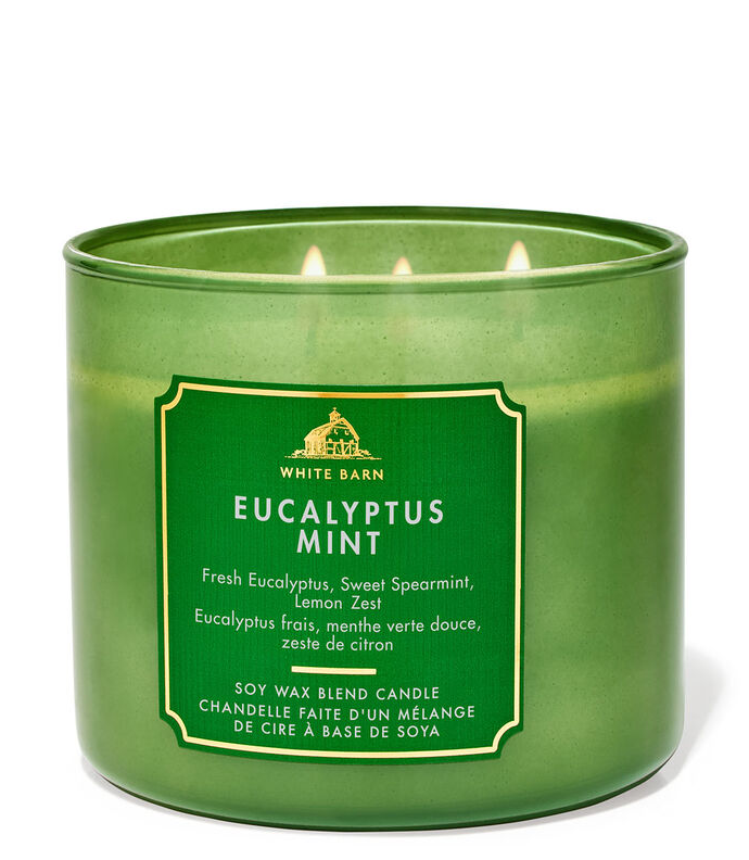 EUCALYPTUS MINT 3 WICK CANDLE